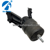 motor mounts location