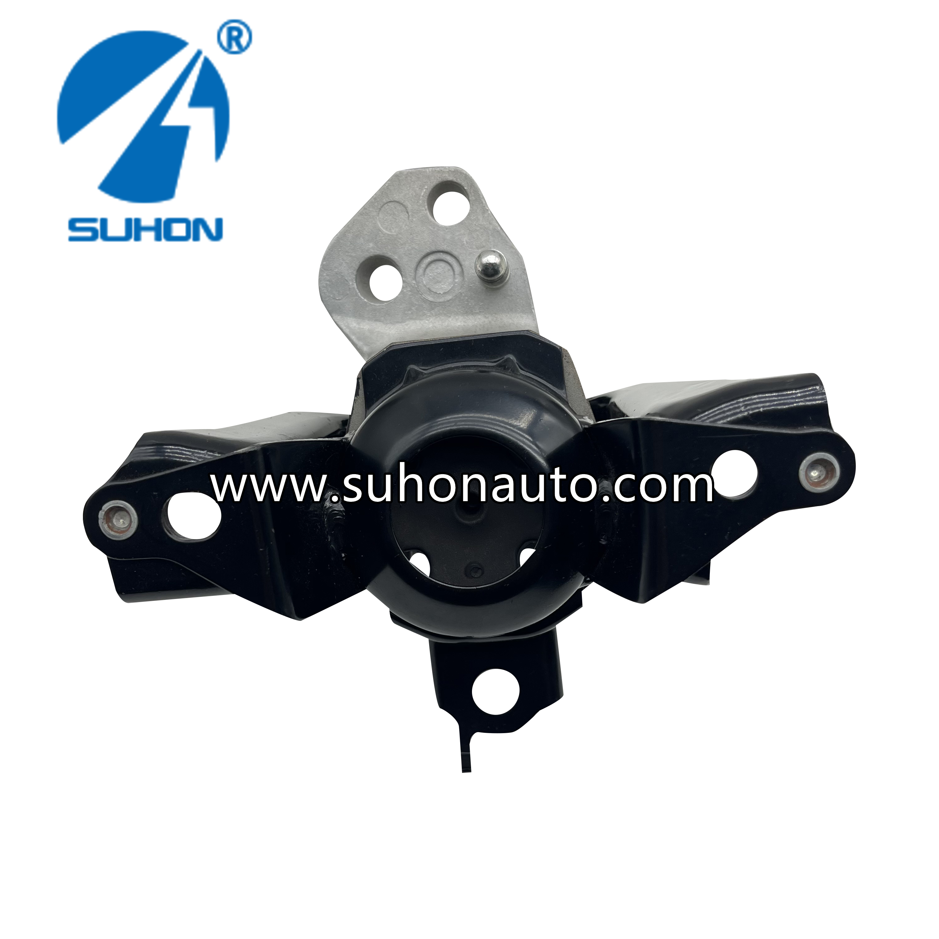 leaking engine mount