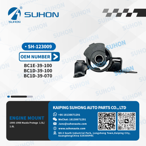 SH-123009.jpg